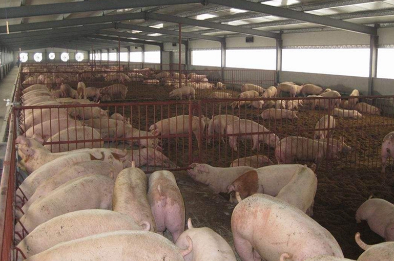 養(yǎng)殖場適合用紫外線消毒燈嗎？