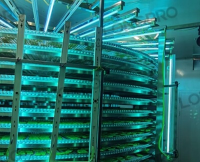 食品廠防爆紫外線殺菌燈：保障食品生產(chǎn)環(huán)境安全的利器！