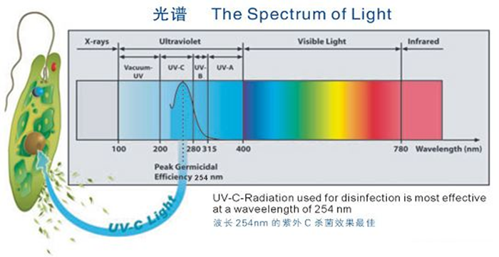 科普！紫外線殺菌燈對(duì)人體影響及正確使用方法